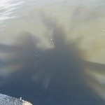 IMG_0892.jpg