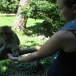 IMG_0895.jpg