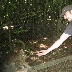 IMG_0897.jpg