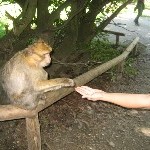IMG_0900.jpg