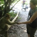 IMG_0901.jpg