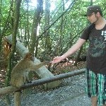 IMG_0903.jpg