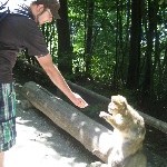 IMG_0904.jpg