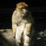 IMG_0905.jpg