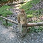 IMG_0907.jpg