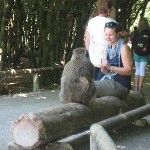 IMG_0909.jpg