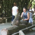 IMG_0910.jpg