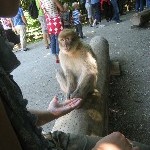 IMG_0914.jpg