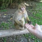 IMG_0915.jpg