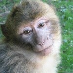 IMG_0918.jpg