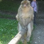 IMG_0921.jpg
