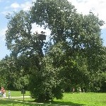 IMG_0922.jpg