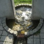 IMG_0936.jpg