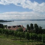 IMG_0944.jpg