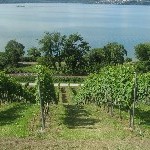 IMG_0945.jpg