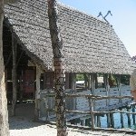 IMG_0957.jpg
