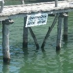 IMG_0958.jpg