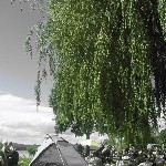 IMG_0965.jpg