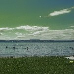 IMG_0966.jpg