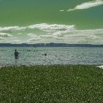 IMG_0967.jpg