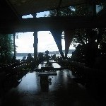IMG_0979.jpg