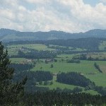 IMG_0986.jpg