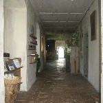 IMG_1012.jpg