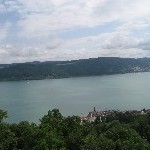 IMG_1017.jpg