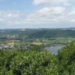 IMG_1037.jpg