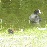 IMG_1049.jpg