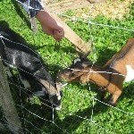 IMG_1098.jpg