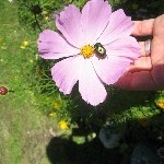 IMG_1116.jpg