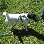 IMG_1130.jpg