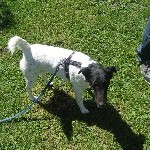 IMG_1131.jpg