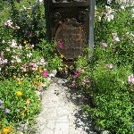 IMG_1132.jpg