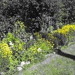 IMG_1134.jpg