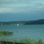 IMG_1154.jpg