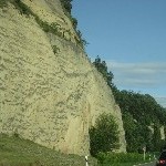 IMG_1155.jpg
