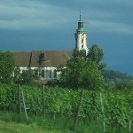 IMG_1157.jpg