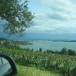 IMG_1159.jpg