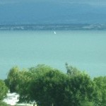 IMG_1161.jpg