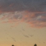 IMG_1163.jpg