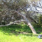 2009-04-01-14h25m52.jpg