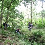 IMG_2242.JPG