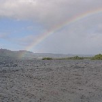 IMG_2245.JPG