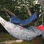 IMG_2292.JPG