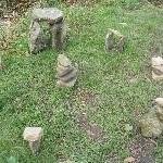 IMG_2332.JPG