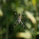 IMG_6367.jpg