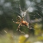 IMG_6376.jpg