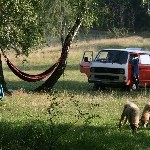 IMG_6500.jpg